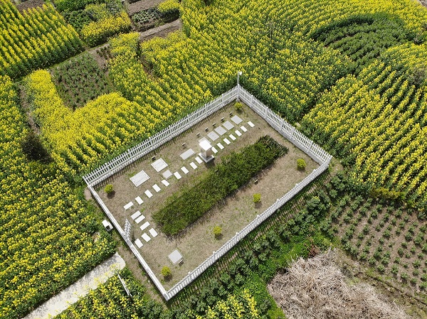 僅需2周，水質(zhì)就穩(wěn)定達標！這種一體化生活污水處理設備供不應求